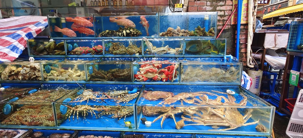 平靚正海鮮大量上市,專家解答:哪些水產品不宜吃?